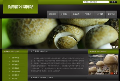 專業(yè)網(wǎng)頁設計與網(wǎng)站制作 打造您的數(shù)字門戶與品牌名片